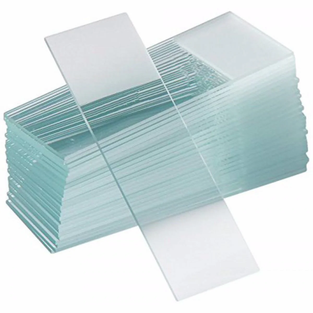 micro slides micro slides