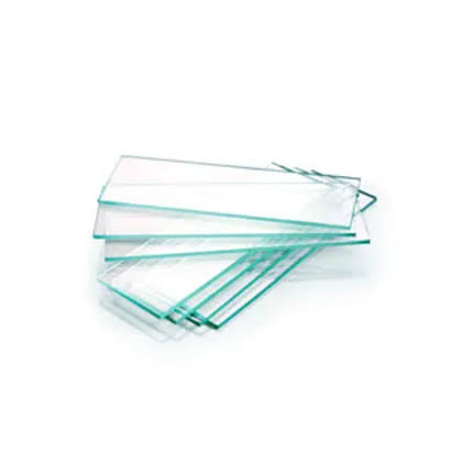 micro slides micro slides